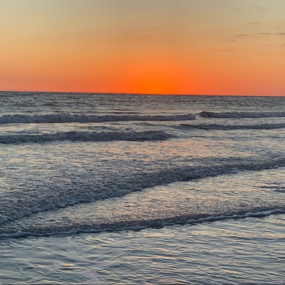 Meet your Posher, Cheyenne - Picture 1 of 1